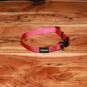 Adjustable Nylon Dog Collar Pink Goddess