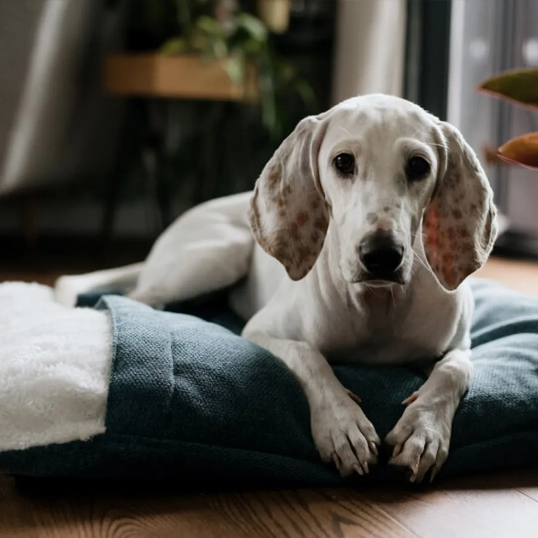 Bowl and Bone Bliss Dog Sleeping Bag Ecru
