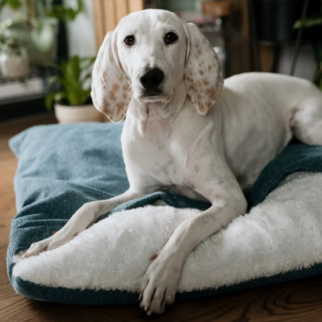 Bowl and Bone Bliss Dog Sleeping Bag Ecru
