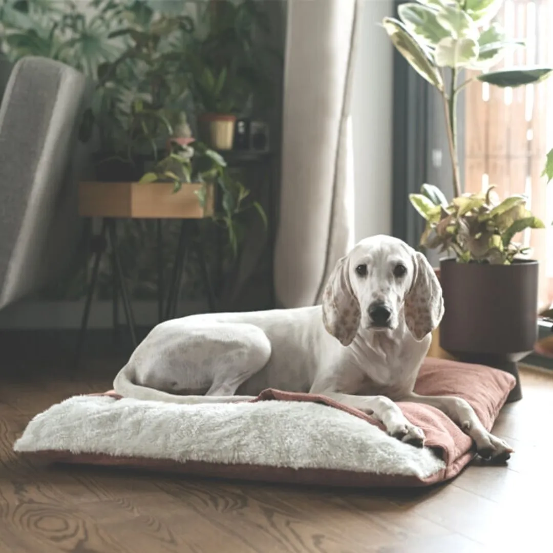 Bowl and Bone Bliss Dog Sleeping Bag Ecru