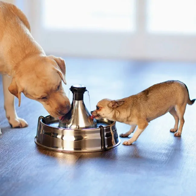 Drinkwell® 360 Stainless Steel Pet Fountain