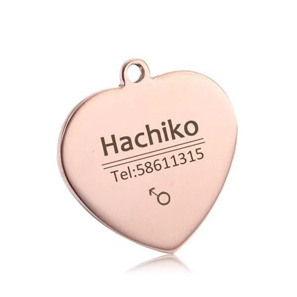 Personalized Stainless Steel Dog ID Tag