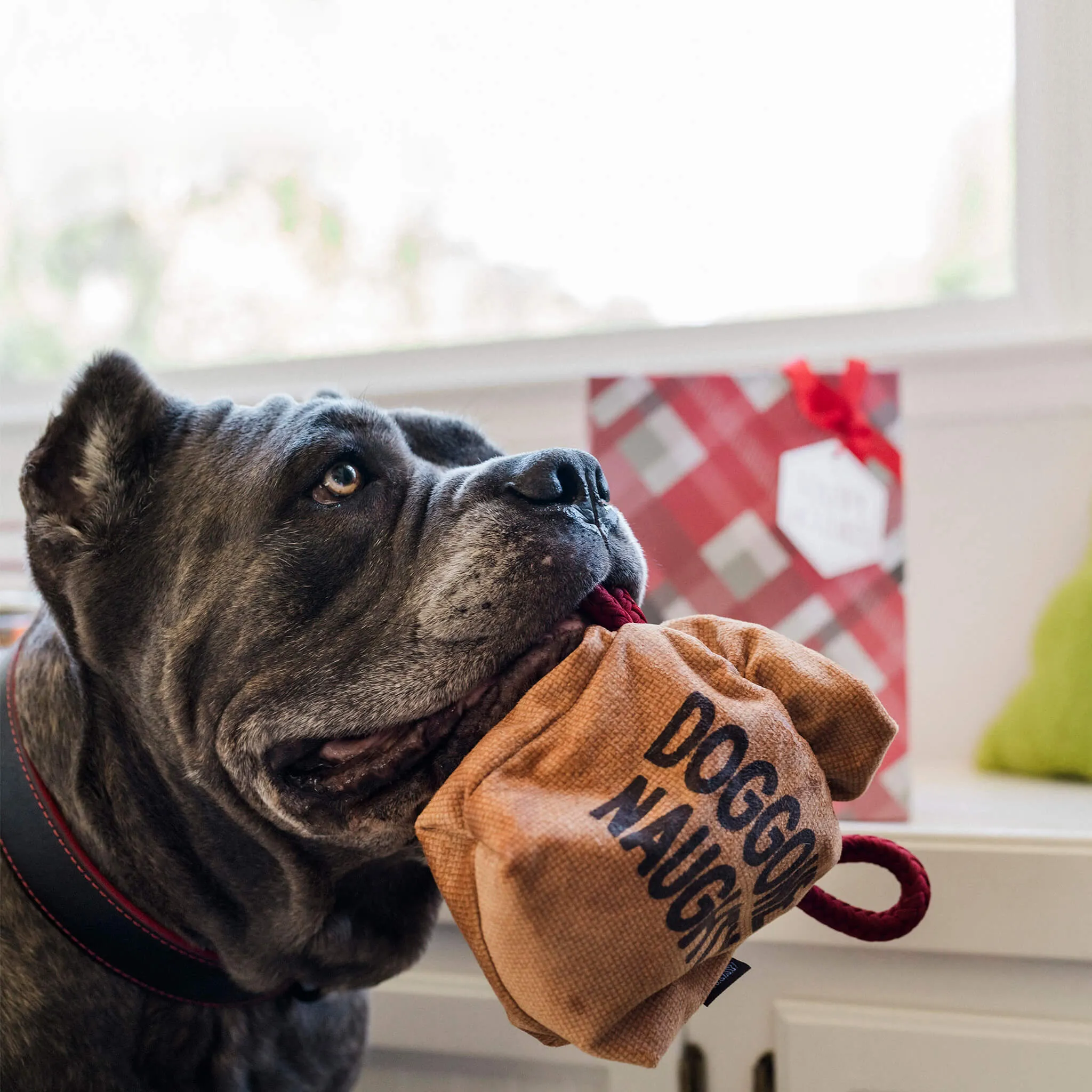 P.L.A.Y. Home for the Holidays Dog Toys