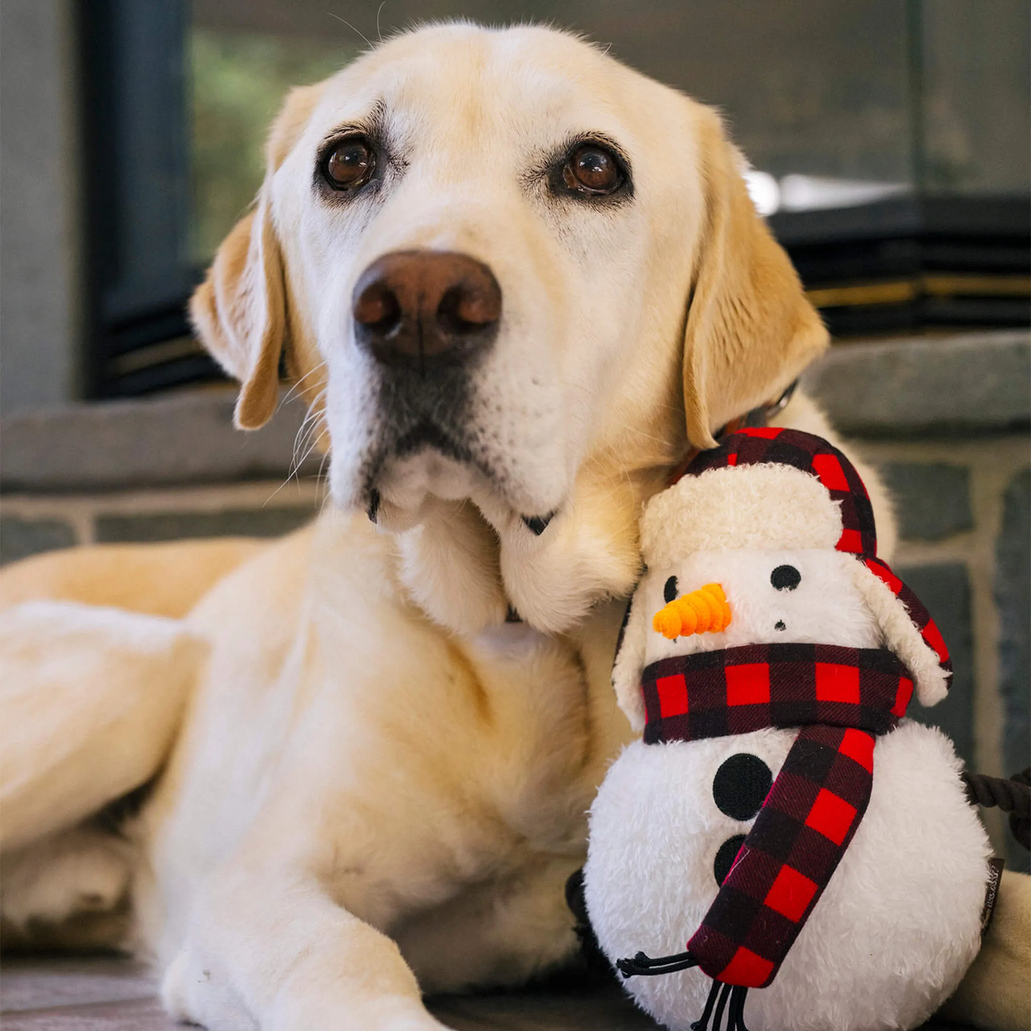 P.L.A.Y. Home for the Holidays Dog Toys