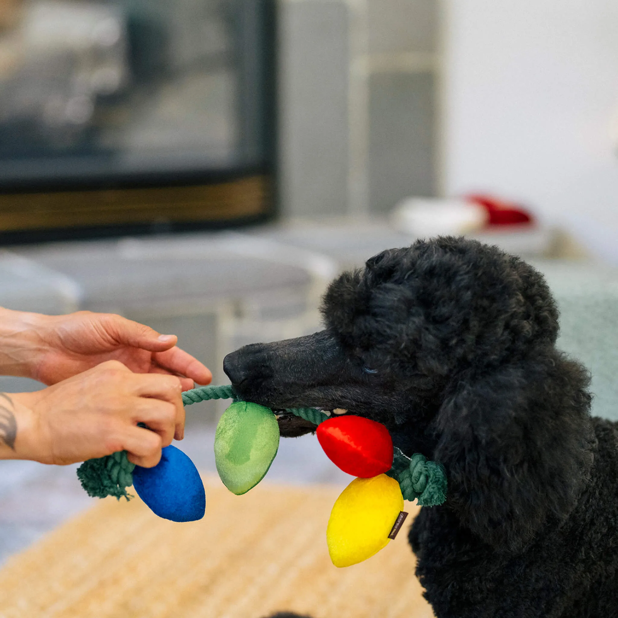P.L.A.Y. Home for the Holidays Dog Toys