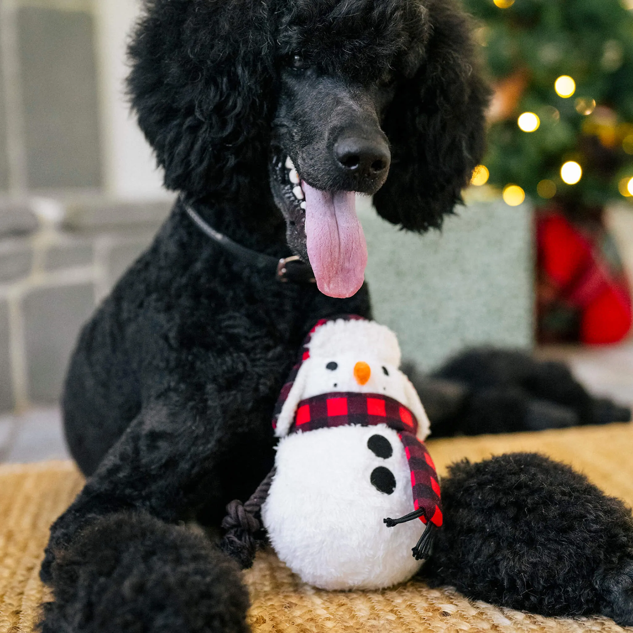 P.L.A.Y. Home for the Holidays Dog Toys