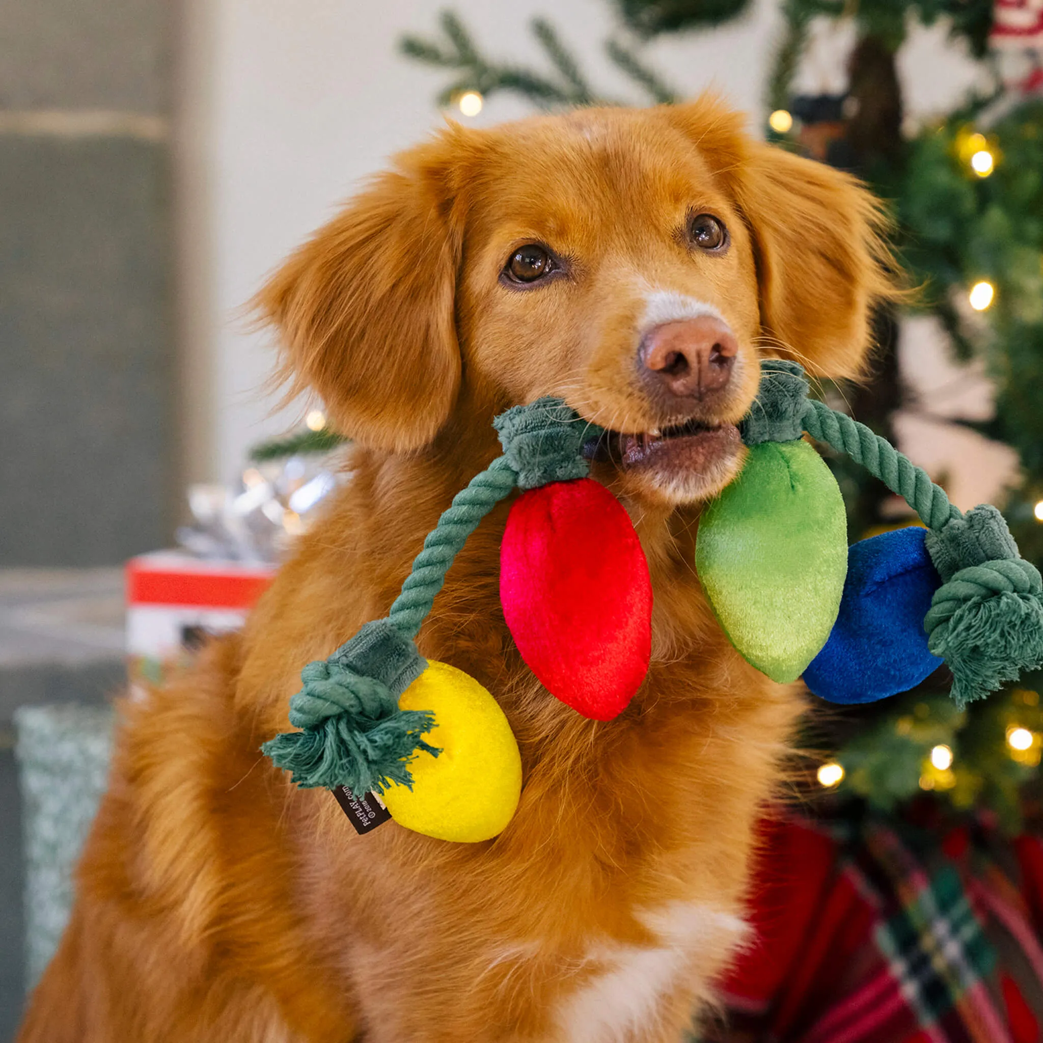 P.L.A.Y. Home for the Holidays Dog Toys