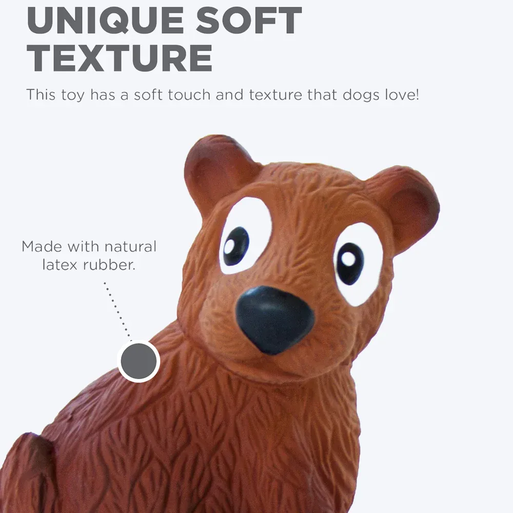 Tootiez Bear Latex Rubber Dog Toy