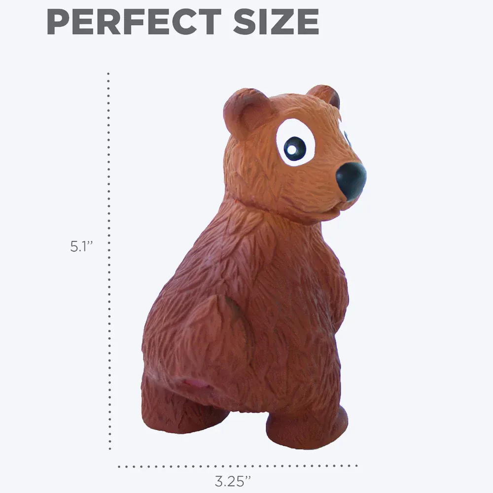 Tootiez Bear Latex Rubber Dog Toy